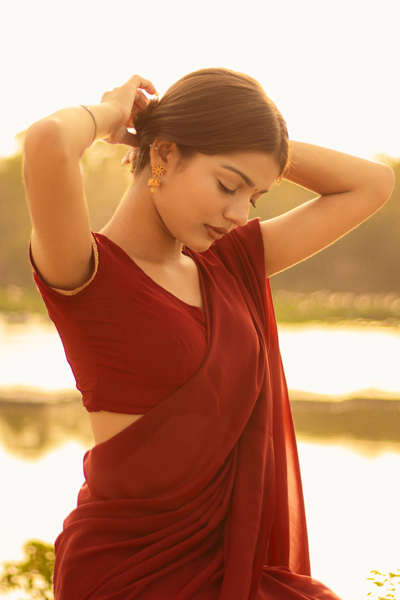 Chiffon Sarees